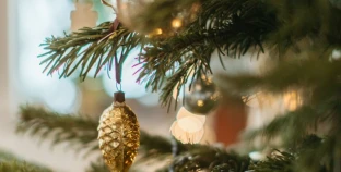 A árvore de Natal ideal: dicas infalíveis para acertar na decoração